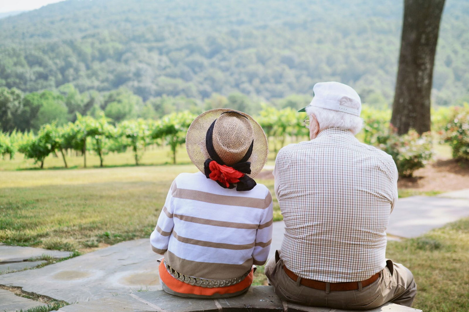 Old couple watching view