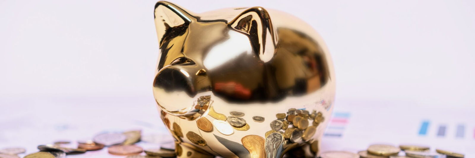 Golden piggy bank